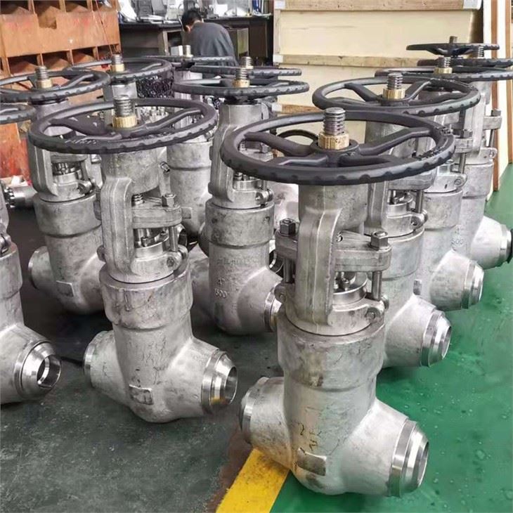 4500LB Gate Valve