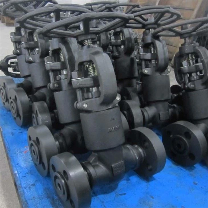 4500LB Gate Valve