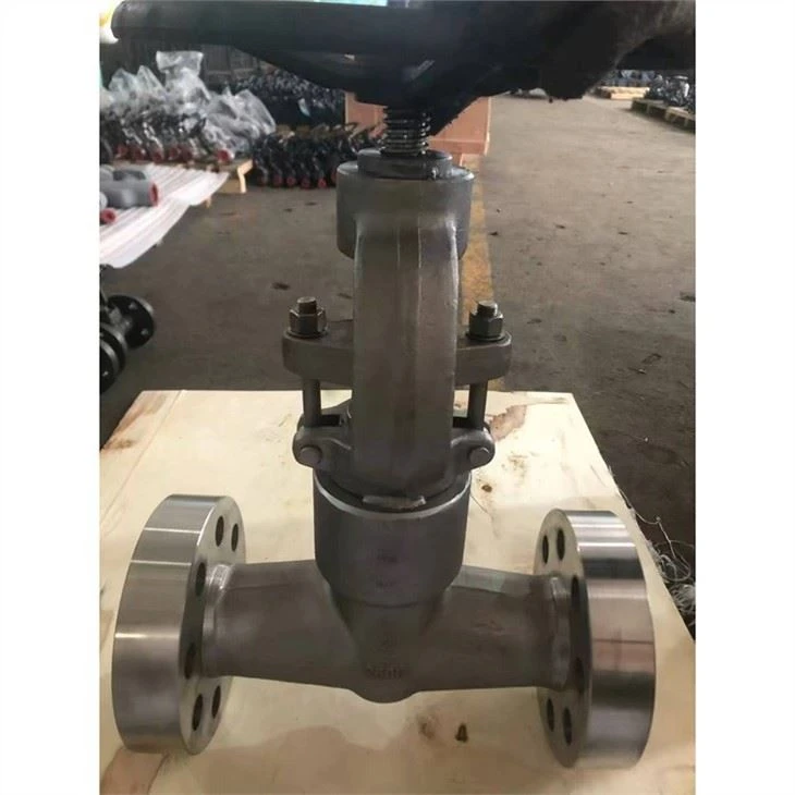 4500LB Gate Valve